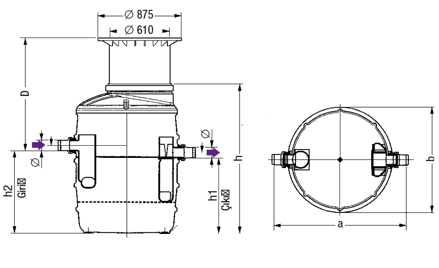 Kessel Model