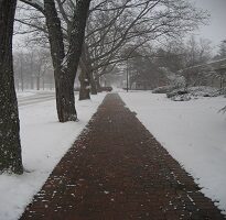 Park Acik Alan Kar Buz Uygulamasssss7 205x200 1