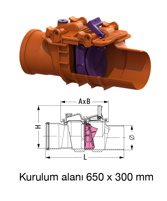 vana2 1